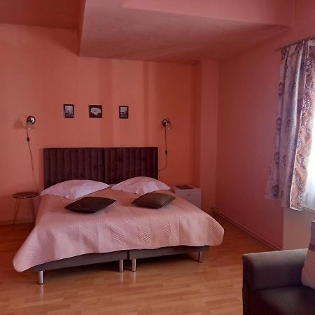 Pensiunea Vila Dana Cluj-Napoca Ngoại thất bức ảnh