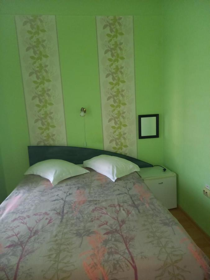 Pensiunea Vila Dana Cluj-Napoca Ngoại thất bức ảnh