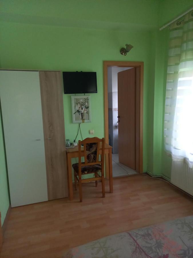 Pensiunea Vila Dana Cluj-Napoca Ngoại thất bức ảnh