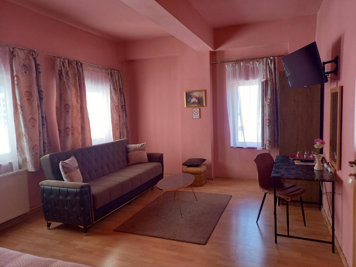 Pensiunea Vila Dana Cluj-Napoca Ngoại thất bức ảnh