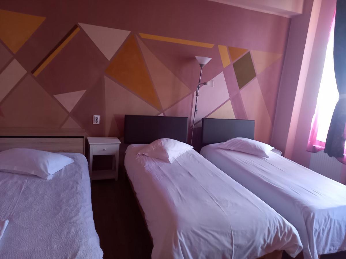 Pensiunea Vila Dana Cluj-Napoca Ngoại thất bức ảnh